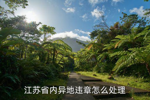 江蘇違章代辦，江蘇違章代辦河北違章代辦山東違章代辦違規么