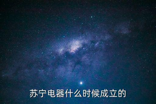 蘇寧電器什么時候成立的