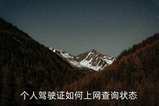 個人駕駛證如何上網查詢狀態