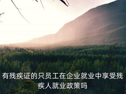 有殘疾證的只員工在企業就業中享受殘疾人就業政策嗎