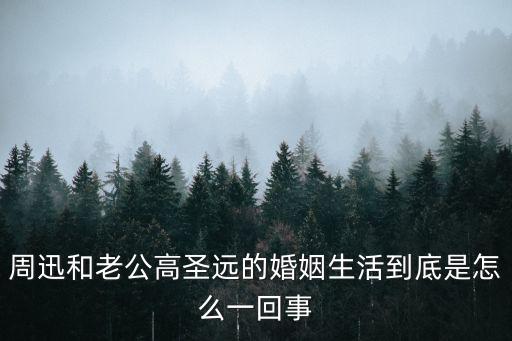 高圣元，周迅有沒有生子