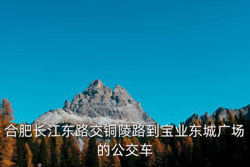 合肥長江東路交銅陵路到寶業東城廣場的公交車