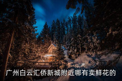 廣州白云匯僑新城附近哪有賣鮮花的