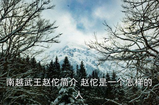 南越武王趙佗簡介 趙佗是一個怎樣的人