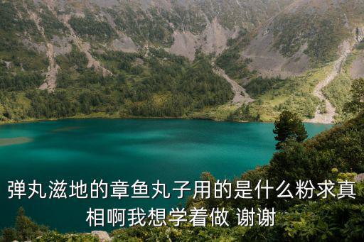 彈丸滋地的章魚丸子用的是什么粉求真相啊我想學著做 謝謝