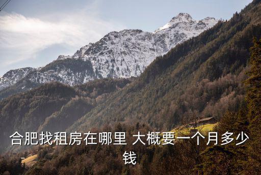 合肥找租房在哪里 大概要一個月多少錢