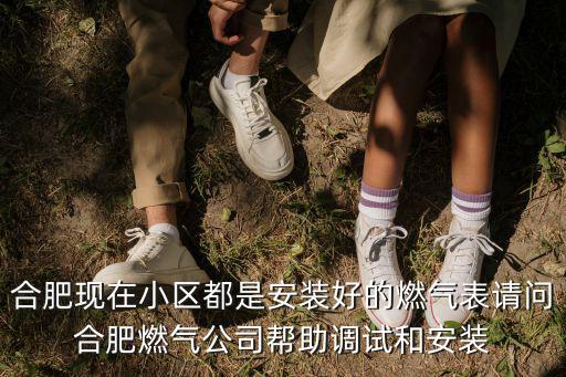 合肥現在小區都是安裝好的燃氣表請問合肥燃氣公司幫助調試和安裝
