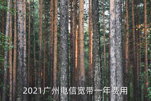 2021廣州電信寬帶一年費用