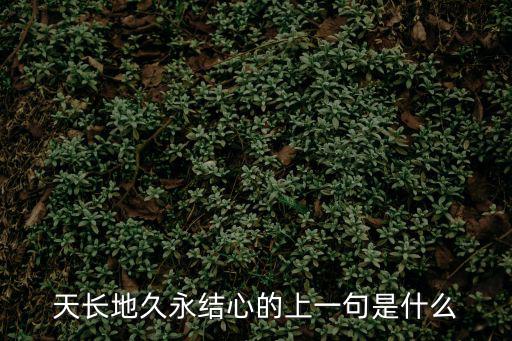天長地久永結心的上一句是什么