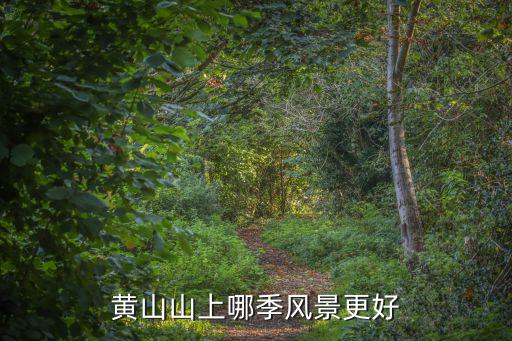 黃山山上哪季風景更好