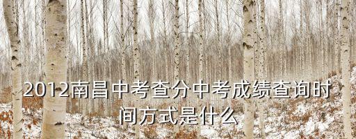 2012南昌中考查分中考成績查詢時間方式是什么