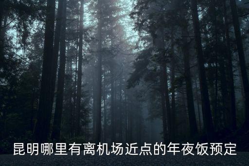 昆明哪里有離機場近點的年夜飯預定