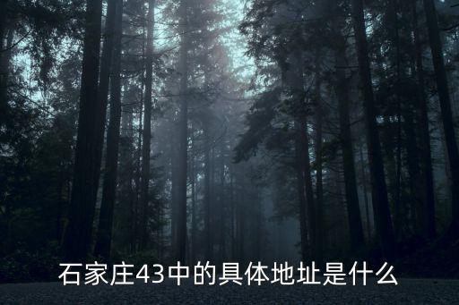 石家莊43中的具體地址是什么