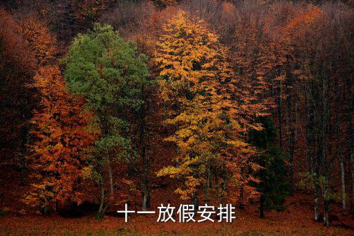 十一放假安排