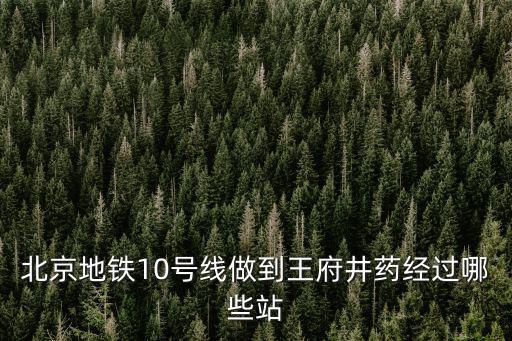 北京地鐵10號線做到王府井藥經過哪些站