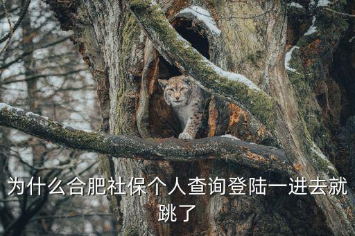 為什么合肥社保個人查詢登陸一進去就跳了