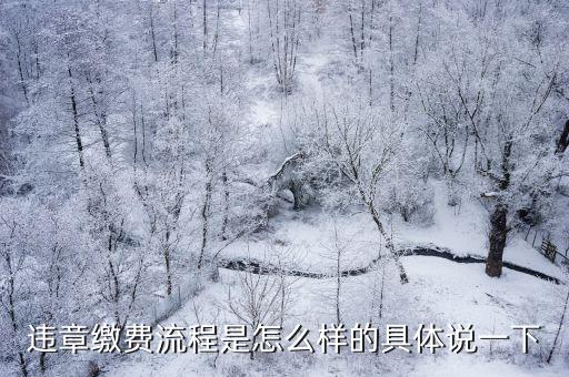 違章繳費流程是怎么樣的具體說一下