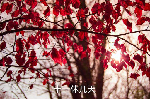 十一調休，十一放幾天假