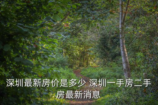深圳房價最新消息，深圳的房價如何