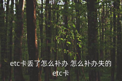 etc卡丟了怎么補(bǔ)辦，ETC卡丟了怎么補(bǔ)辦