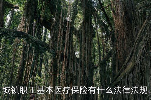 城鎮職工基本醫療保險有什么法律法規