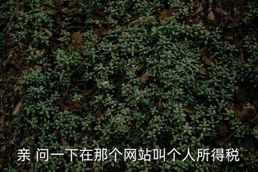 親 問一下在那個網(wǎng)站叫個人所得稅