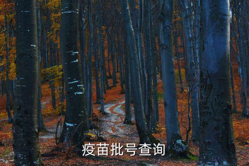 疫苗接種查詢，疫苗批號查詢