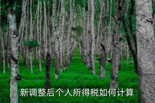 新調(diào)整后個人所得稅如何計算