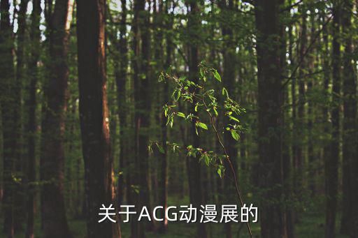 關(guān)于ACG動漫展的
