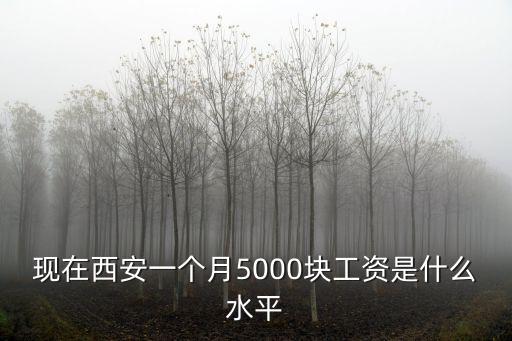西安工資水平，西安人均收入工資2022