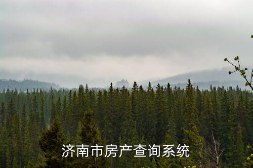 濟南市房產查詢系統