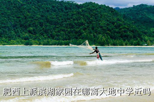 肥西上派濱湖家園在哪離大地中學近嗎