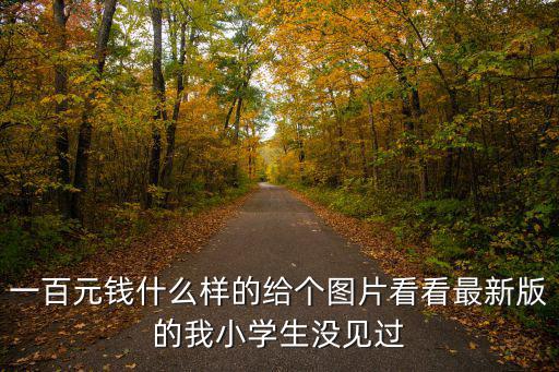 一百元錢什么樣的給個圖片看看最新版的我小學生沒見過