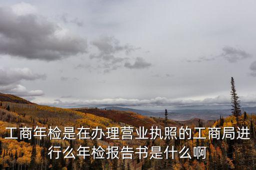 工商局年檢，工商營業執照由企業哪個部門年檢