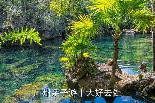 廣州親子游十大好去處