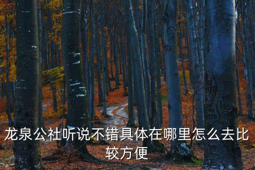 龍泉公社聽說不錯(cuò)具體在哪里怎么去比較方便