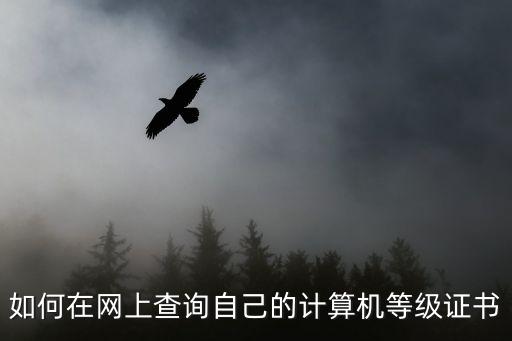 如何在網上查詢自己的計算機等級證書