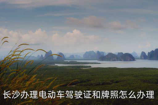 長沙辦理電動車駕駛證和牌照怎么辦理