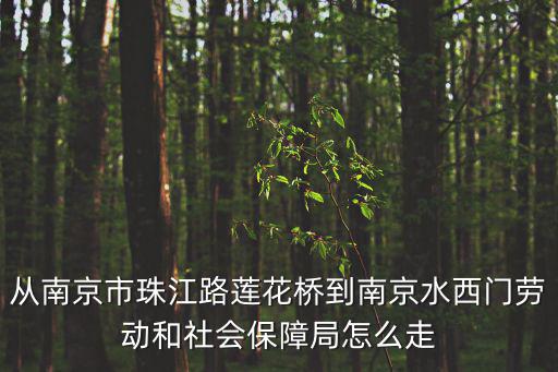 從南京市珠江路蓮花橋到南京水西門勞動和社會保障局怎么走