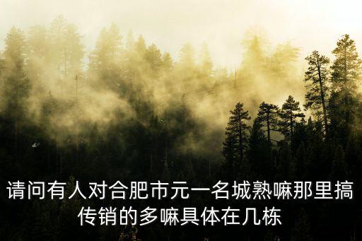 元一名城，合肥元一名城小區(qū)在哪個(gè)區(qū)域現(xiàn)在房?jī)r(jià)多少了