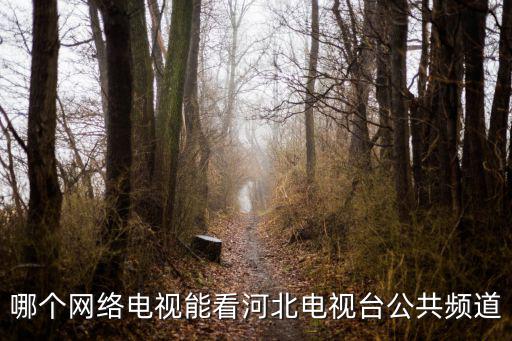 河北網絡電視臺，哪個網絡電視能看河北電視臺公共頻道