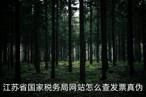 江蘇省電子稅務局官網，江蘇電子稅務局網站官網
