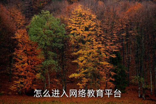 國家網(wǎng)絡(luò)教育平臺，怎么進(jìn)入網(wǎng)絡(luò)教育平臺