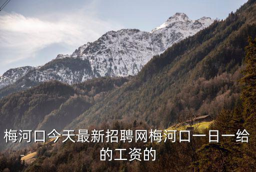 梅河口今天最新招聘網(wǎng)梅河口一日一給的工資的