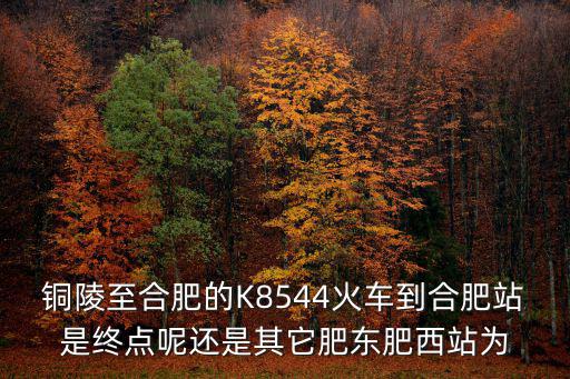 銅陵至合肥的K8544火車到合肥站是終點呢還是其它肥東肥西站為