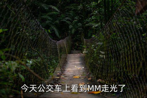 今天公交車上看到MM走光了