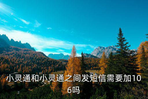 小靈通和小靈通之間發(fā)短信需要加106嗎