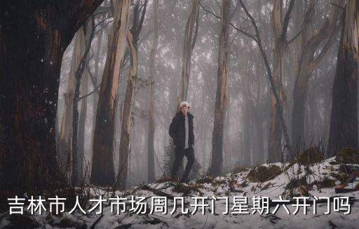 吉林市人才市場周幾開門星期六開門嗎