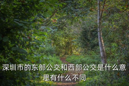 東部公交，深圳東部公交集團總部批地址在哪坐幾路車到