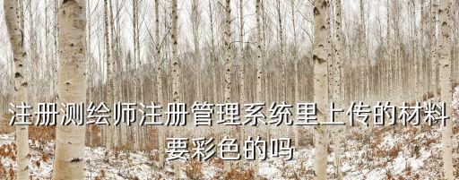 注冊(cè)測(cè)繪師注冊(cè)管理系統(tǒng)里上傳的材料要彩色的嗎